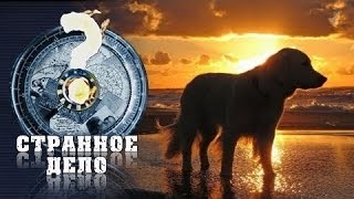 Странное дело Ручной разум (04.08.2015) HD