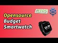 The Ultimate Budget Smartwatch - Pinetime Review