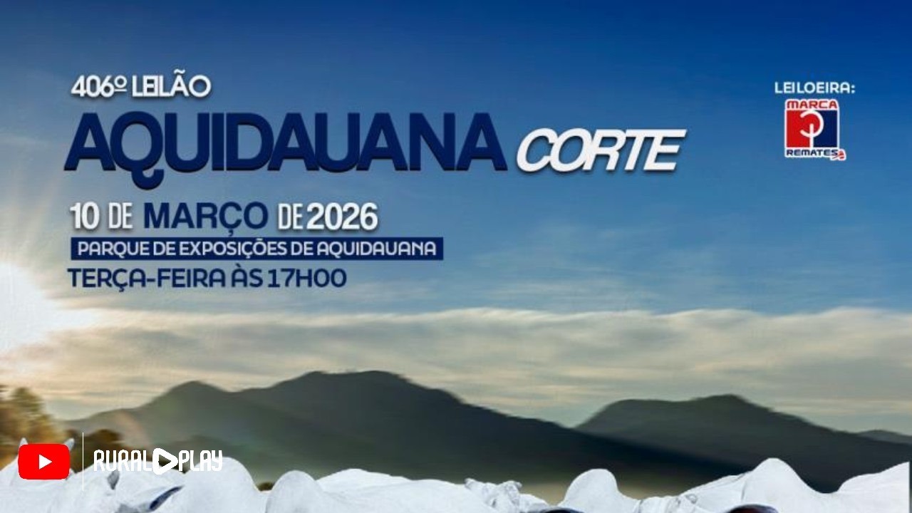 406º LEILÃO MARCA P REMATES - AQUIDAUANA/MS - RURAL PLAY