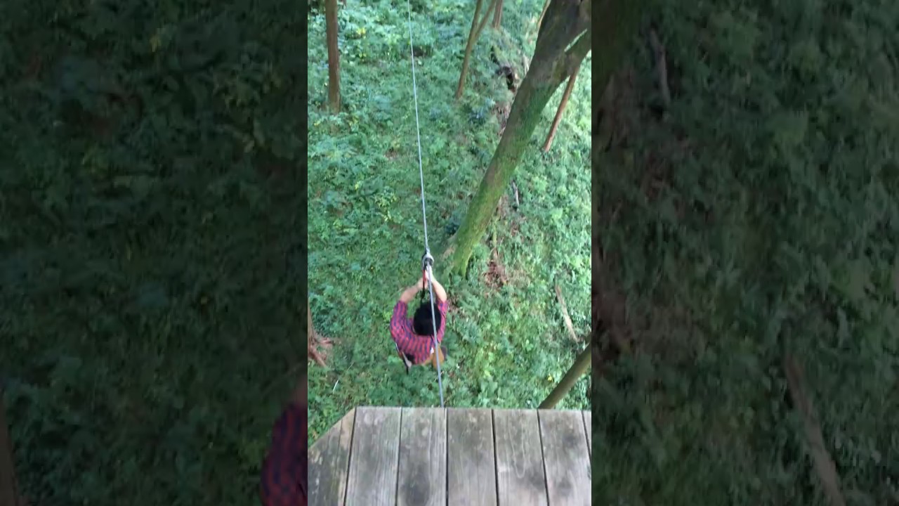 ジップライン フォレストアドベンチャー 箱根 15 Youtube