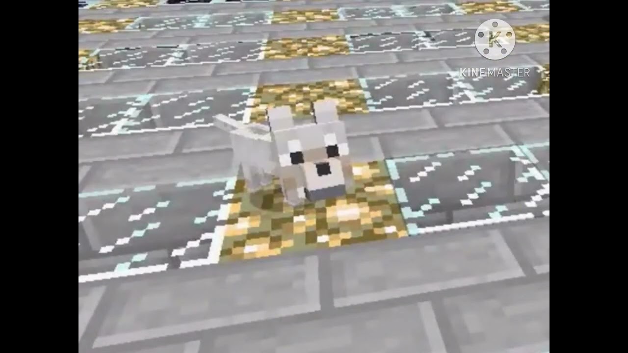 Baby Wolf Sounds We’re Actually Funny