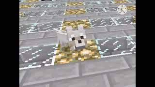 Baby Wolf Sounds Were Actually Funny