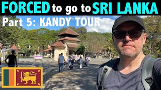 FORCED to go to Sri Lanka Part 5: Kandy Tour