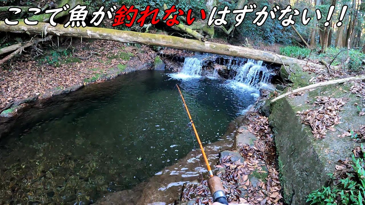 こんな場所絶対釣れるでしょ！！