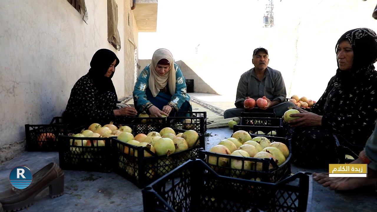 زبدة الكلام - قرية الفخيخة  - 29-09-2023