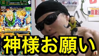 【ドッカンバトル】グレートサイヤマンくらい引かせてくれよ！！