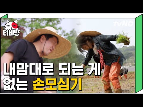 [티비냥] 옛날엔 어떻게 이걸 일일이 손으로 했을까? 1000평이 넘는 논 구석구석 손 모내기하는 풀.뜯.소 식구들, 나오는 건 곡소리뿐 😥 | #풀뜯어먹는소리1 180702