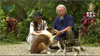 新竹關西 范家古厝、范光棣、拇指園生態民宿、逸園鄉間小憩 ...