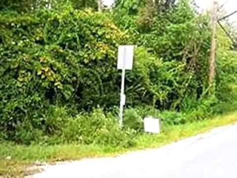 256 White Pond Rd, Stormville, NY home video tour