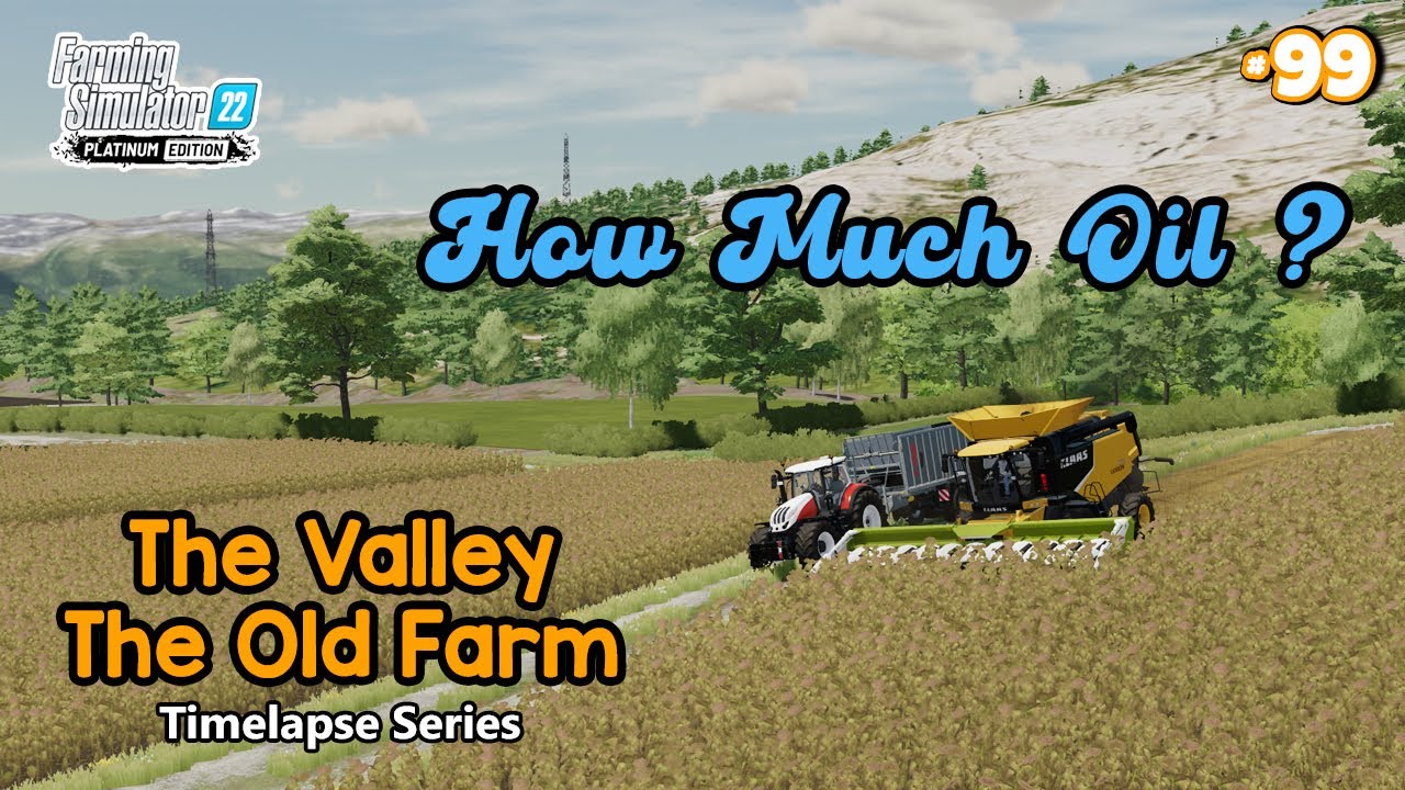 How Much Oil Can We Produce From 10 Tons of Sunflower Farming Sim 22
