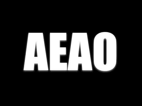 AEAO - dynamic duo & dj premier - slowed