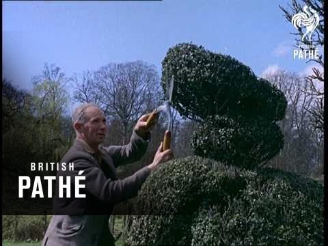 Download Castle Topiary (1961)