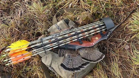 Traditional Archery - Snap Shooting - Not for ever...