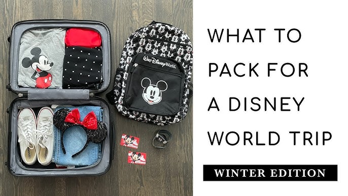 Disney Summer Essentials 2023  What's in My Park Bag! 