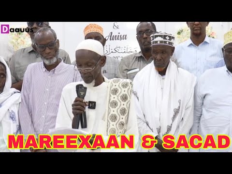 TOOS Beesha Sacad Oo U Jawaabtay Mareexaan Ugana Digtay Sheegashada Reer Ducaale Faarax