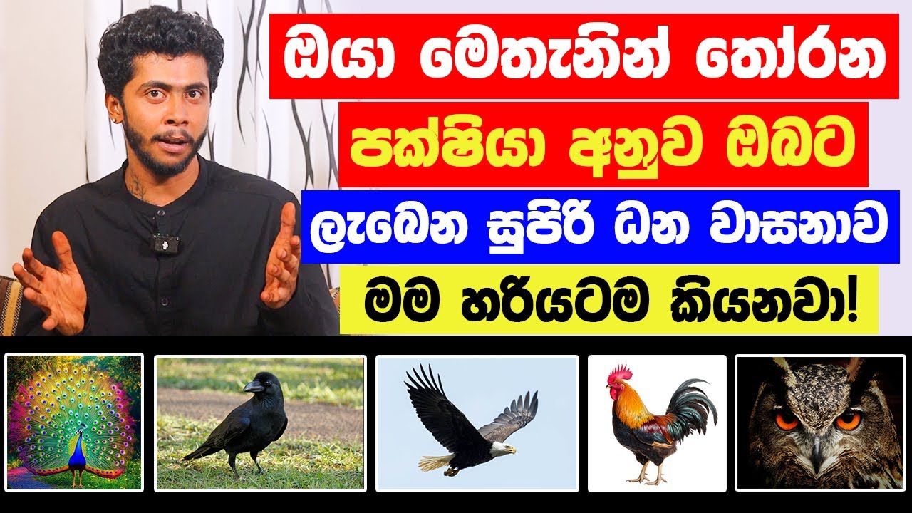ඔයා මෙතැනින් තෝරන පක්ෂියා අනුව ඔබට හිමිවන ධන වාසනාව ගැන මම හරියටම කියනවා! - සියලු දුක් ගිණි ඉවරයි!