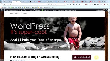 Customize the Sidebar - Make a WordPress Website #8