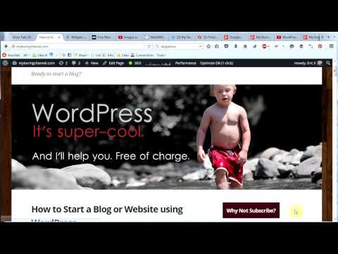 Customize the Sidebar - Make a WordPress Website #8