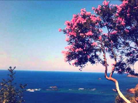 Cheikh Sedik Cheba Djamila 2015 Messaouda