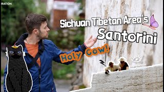Holy Cow Sichuan Tibetan Area’s “Santorini” 灵感中国｜Inspiration 老外打卡《从你的全世界路过》取景地，他真的好爱！