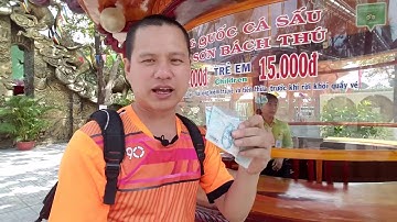 GIÚP VIỆT KIỀU MỸ NHỚ QUÊ XEM VƯƠNG QUỐC CA SẤU HƠN 25000 CON TẠI SUỐI TIÊN -