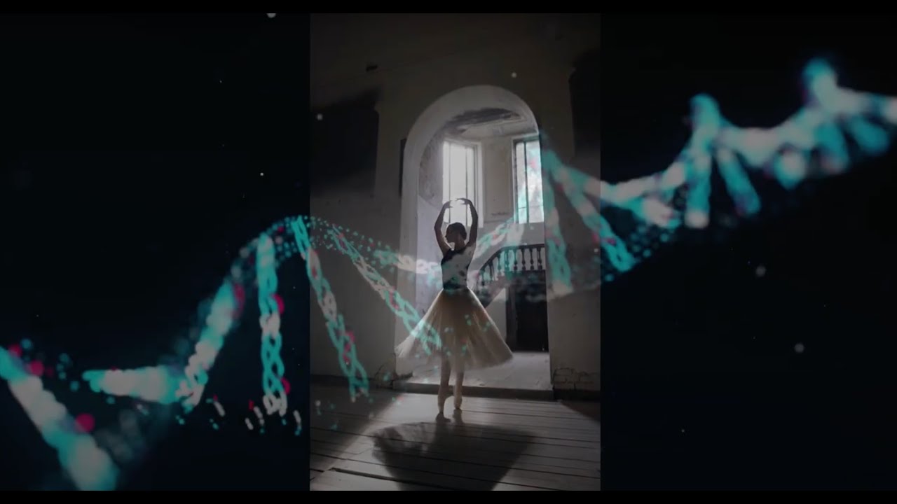 Song of the Golden Spiral (Music Video) - YouTube
