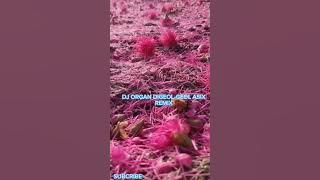 DJ ORGAN DIGEOL -GEOL ASIX REMIX