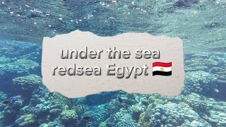 مصرهي?? الوجهة الأولي لسياحةوانشطةالغوص في العالم??egypt travel diving peace