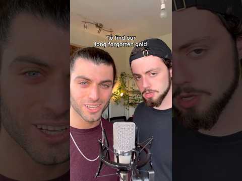 Misty Mountains Cold - Cover by Vinny Marchi and @the.bobbybass #mistymountains #lotr #thehobbit