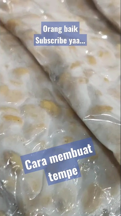 How to make tempeh for beginners, guaranteed to be successful #typicalfood #village @mulihkampung...