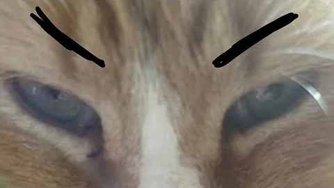 .·. Sped up | A Complete History of the Soviet Union, Through the Eyes of a Humble Man