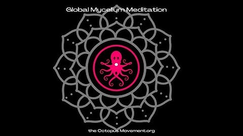 Global Mycelium Meditation