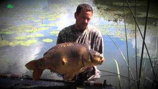 Reality Carp Fishing - Advanced Angling Solutions