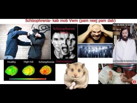 Video: Yuav Tham Li Cas Nrog Schizophrenic: 12 Kauj Ruam