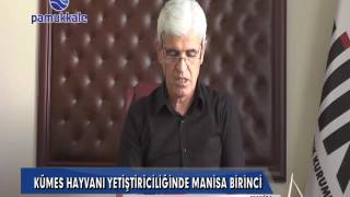 MANİSA KÜMES HAYVANI YETİŞTİRİCİLİĞİNDE TÜRKİYE BİRİNCİSİ OLDU KENAN YÜCEEL MANİSA PAMUKKALETV