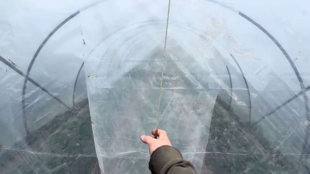 Двери на балаганы