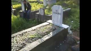 Ali̇ Sevi̇ndi̇ri̇ci̇