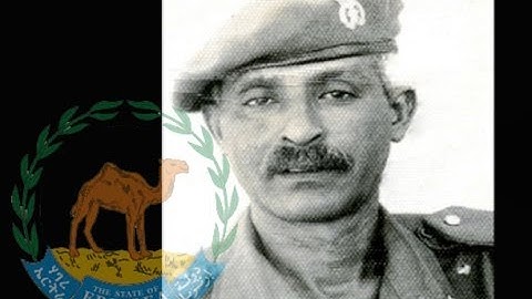 Eritrean Veteran fighter Col. Tinsaew Haile passes away | ERiTV