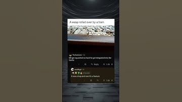 It was a bug now it is a feature #funny #memes