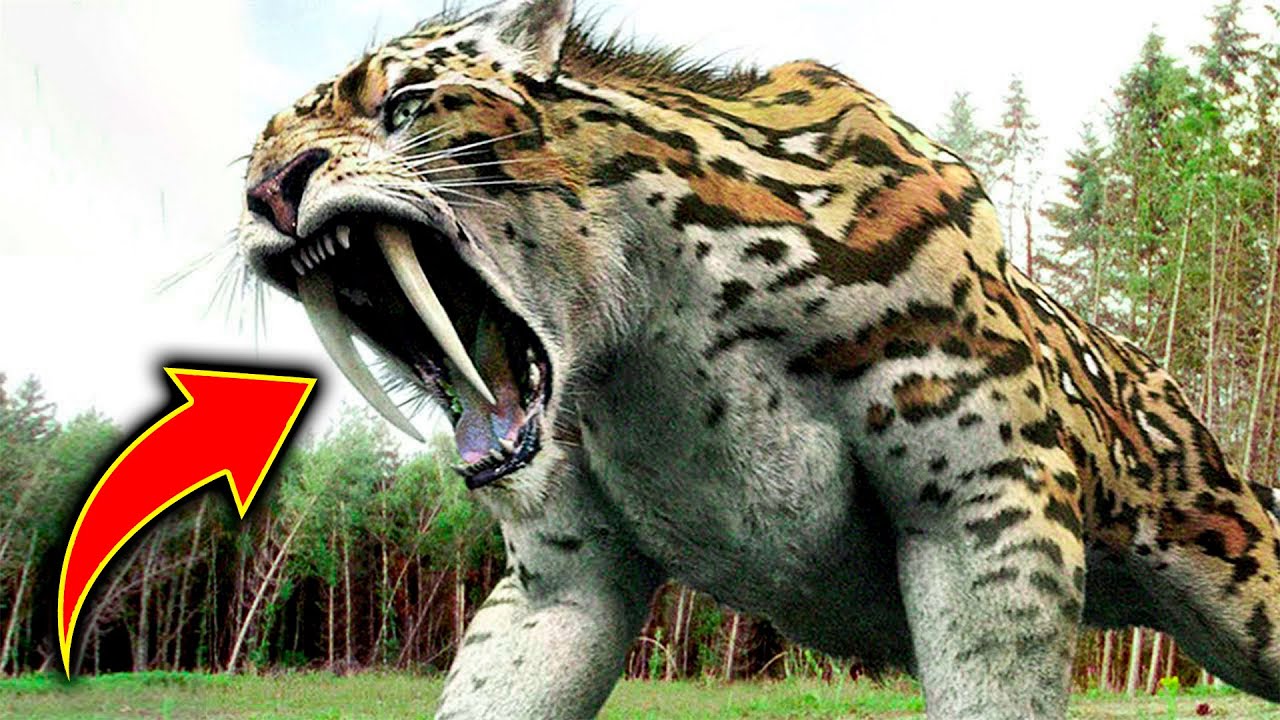 Top 10 Strongest Animals in the World - YouTube