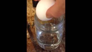 Egg-osmosis Demo Intro