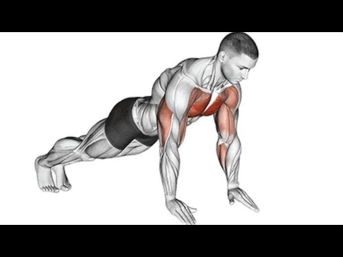Master Your Muscles Perfecting Push ups and Pull ups