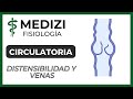 Clase 23  Fisiología Circulatoria - Distensibilidad y funciones vasculares