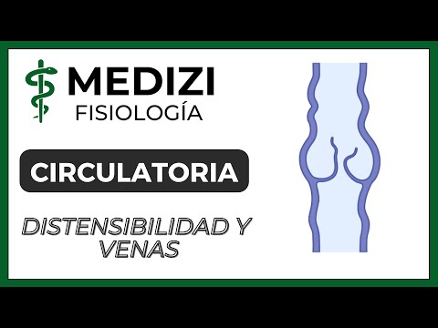 Clase 23 Fisiología