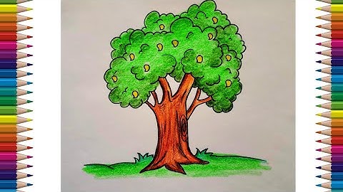 How to draw Mango Tree Easily | Mango Tree Drawing Very Easy
