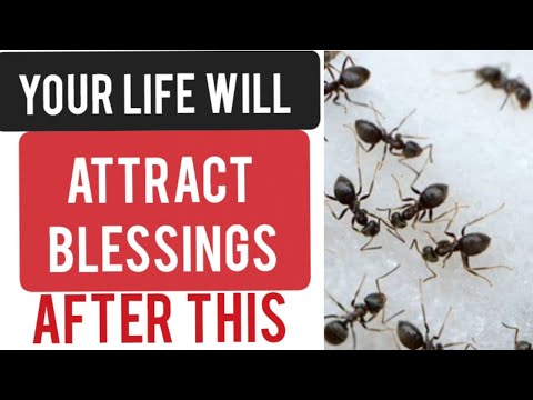 Get 7 cubes of sugar and attract sweetness into your life after you do this#canada#faith#spiritual