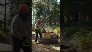RYOBI Seasons Autumn