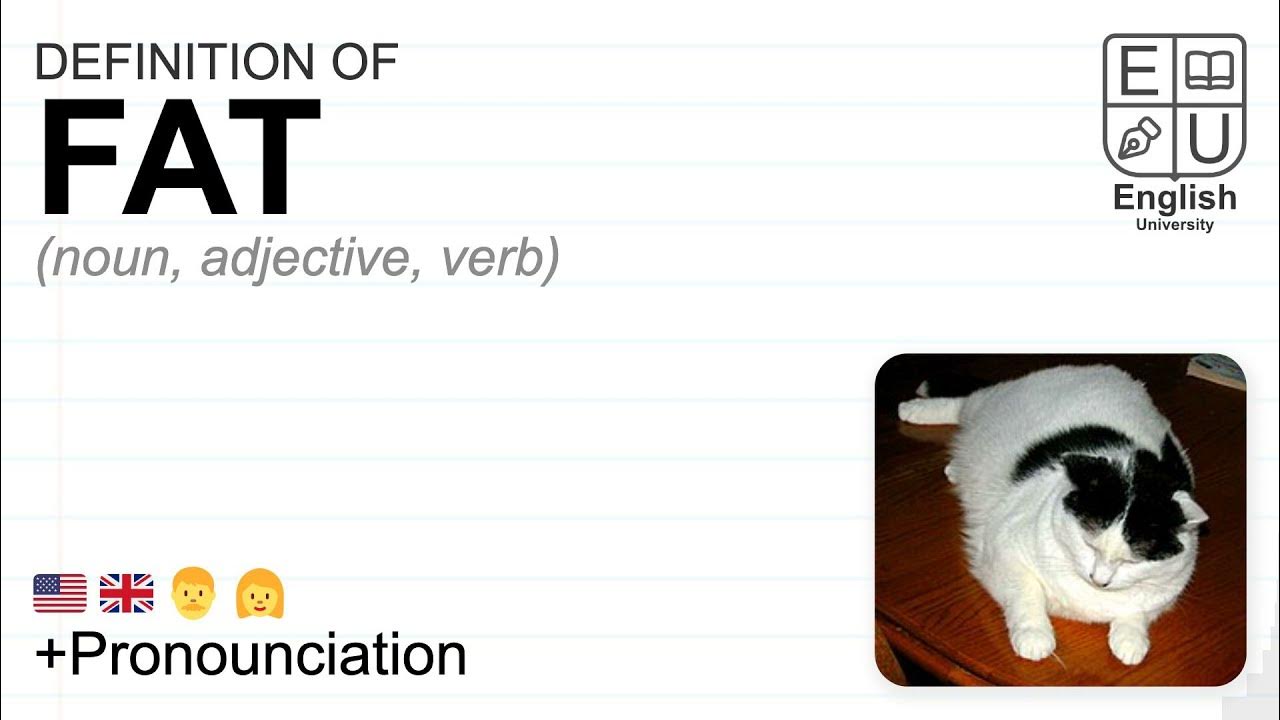 FAT meaning, definition & pronunciation | What is FAT? | How to say FAT