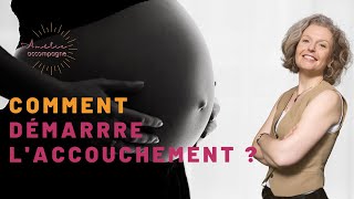 COMMENT DEMARRE L'ACCOUCHEMENT ? (ET QUAND ?)