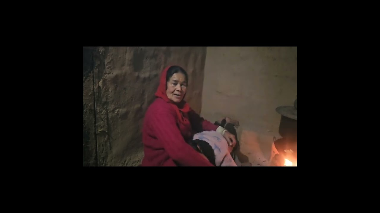 जोशीमठ से गरुड़ गंगा तक का सफर हस्बैंड जी के साथ जय बद्री विशाल 🙏🏻